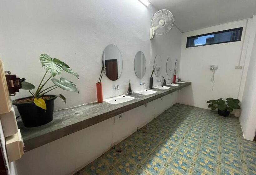 Номер Стандарт Совместная Ванная, Anou Hostel