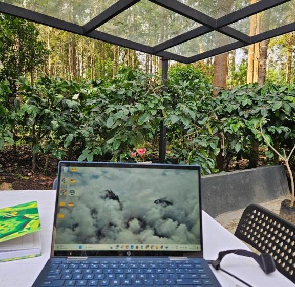 高级大房间, Benomadic Eco Hostel, Madikeri, Coorg