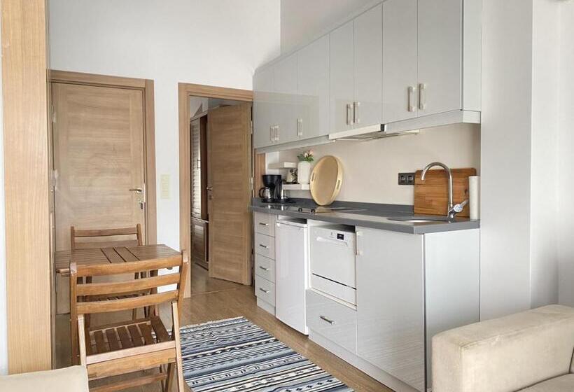 Suite with Terrace, Meridian