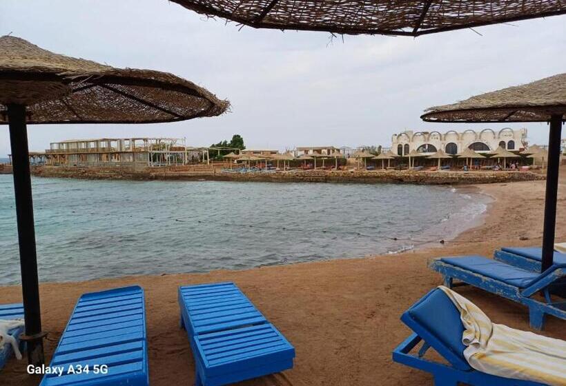 اتاق استاندارد یک نفره, Palm Inn Suites