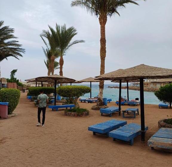 اتاق استاندارد, Palm Inn Suites