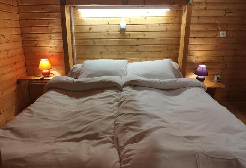 اتاق استاندارد, Bed & Dorms Triberg