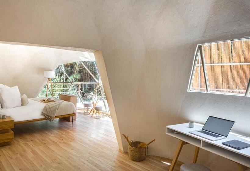 جناح مزود بحمام سباحة, Alma Maya Resort   Riviera Maya