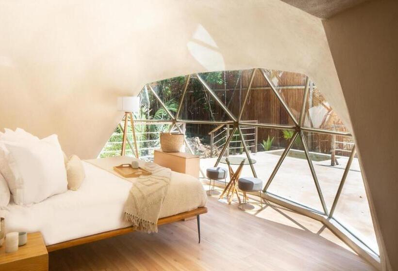 جناح مزود بحمام سباحة, Alma Maya Resort   Riviera Maya