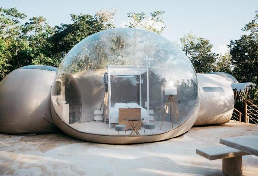 غرفة ديلوكس, Alma Maya Resort   Riviera Maya