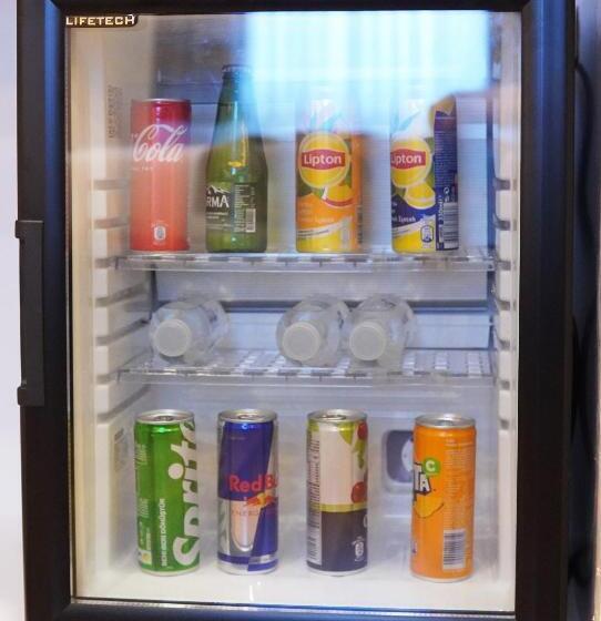 جناح, Amber Palace