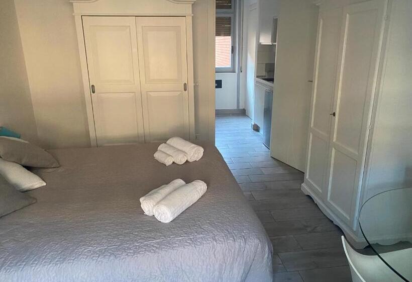 استودیوی استاندارد, Domus Dotta New