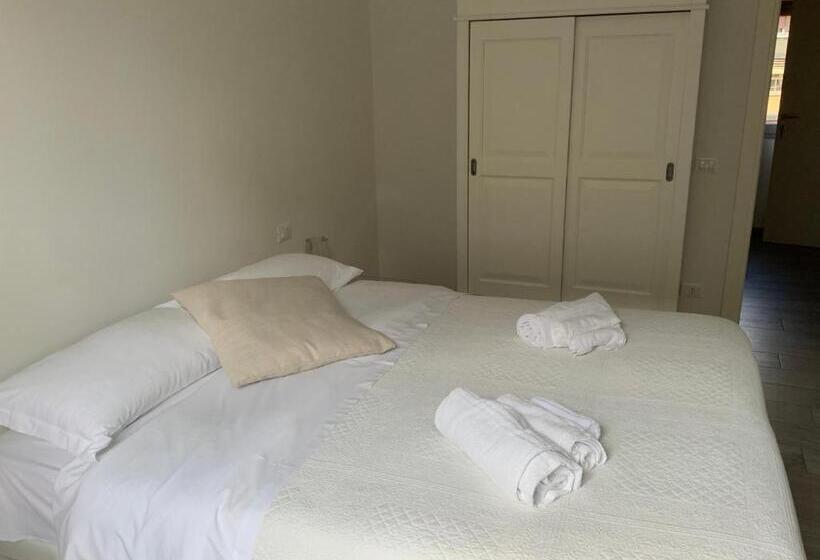 استودیوی استاندارد, Domus Dotta New