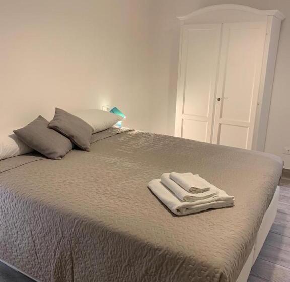 استودیوی استاندارد, Domus Dotta New