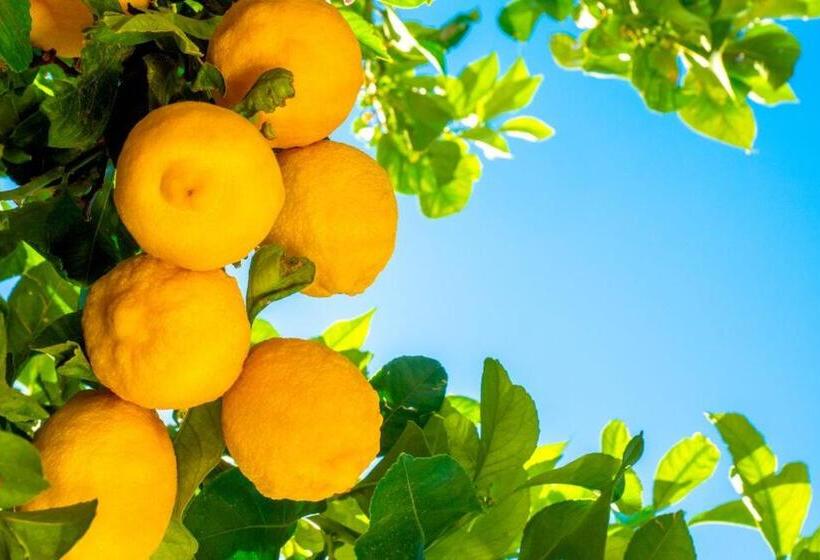 غرفة قياسية ثلاثية, Residence Il Carrubo