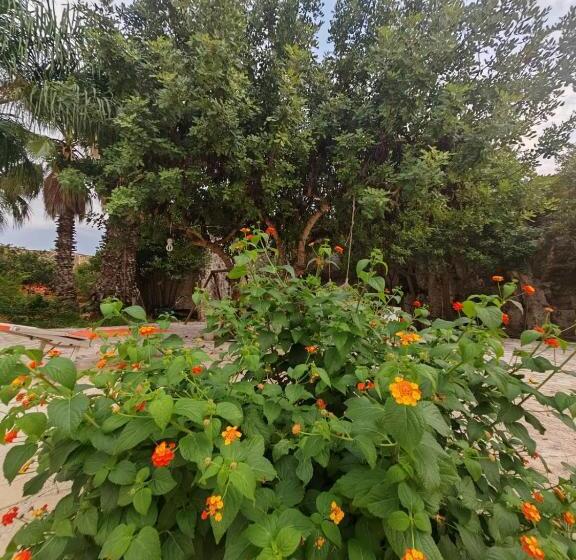 شقة غرفتين, Residence Il Carrubo