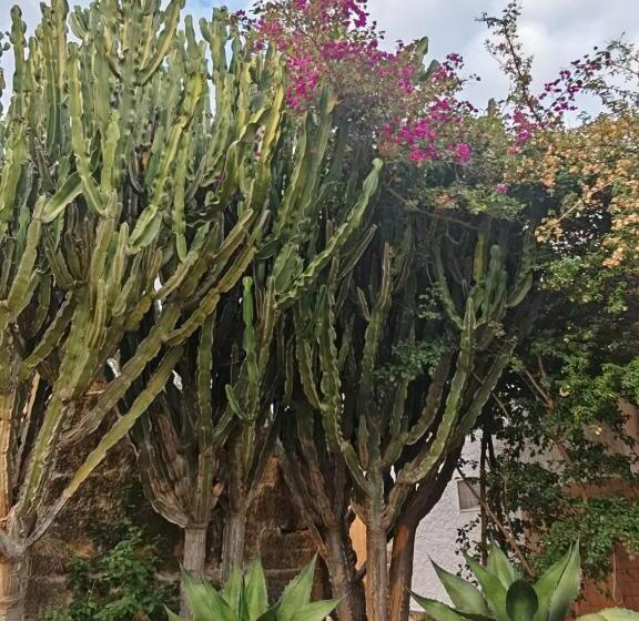 شقة غرفتين, Residence Il Carrubo