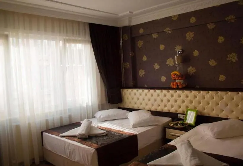 اتاق استاندارد سه نفره, Grand Esen