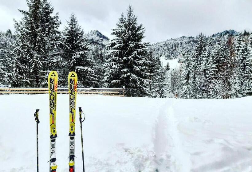 خانه 1 خوابه, Cabana Căsaru