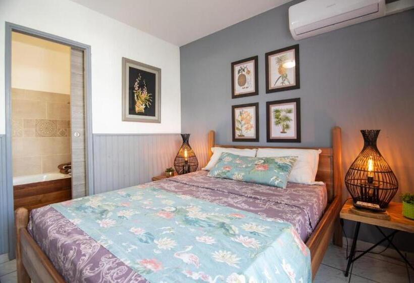 اتاق استاندارد با بالکن, 1a Chambres Et Appartements Au Calme Centre St Denis Barachois