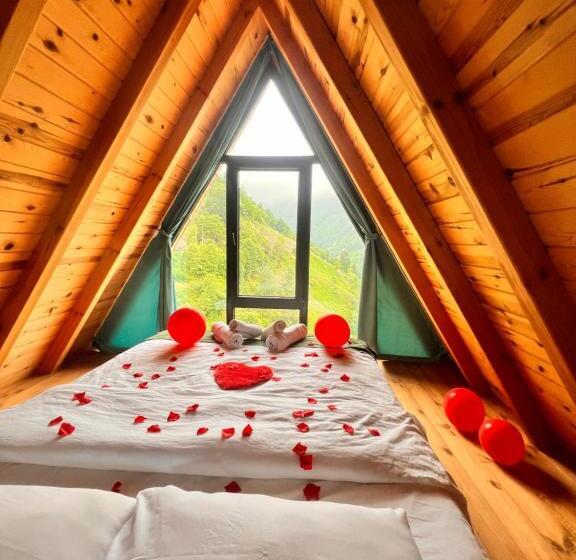 بنجلو ديلوكس, Northland Bungalows