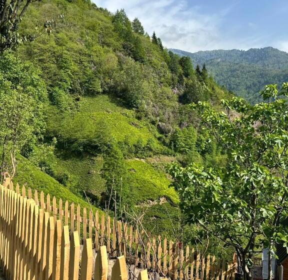 بنجلو ديلوكس, Northland Bungalows