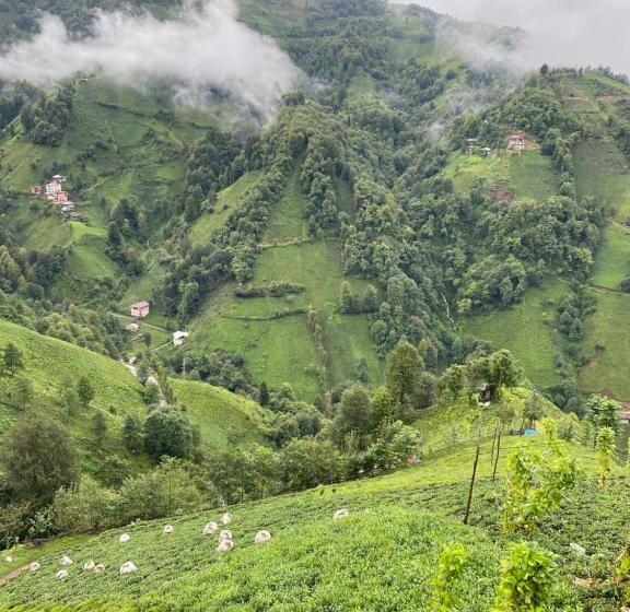 بنجلو ديلوكس, Northland Bungalows