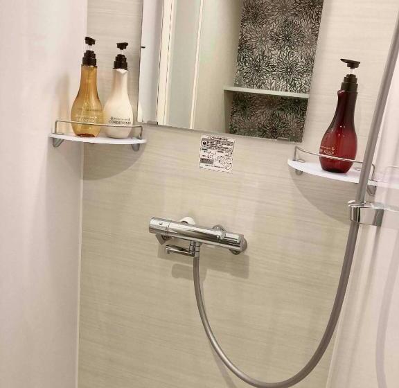 חדר סטנדרט, Dormy Inn Premium Ginza