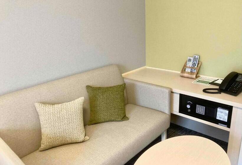 חדר סטנדרט, Dormy Inn Premium Ginza