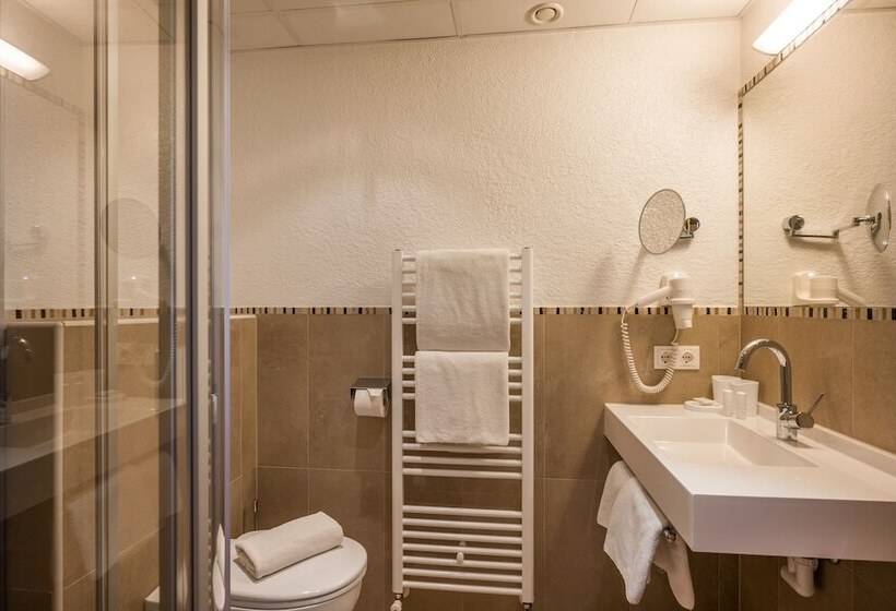 غرفة إقتصادية, Alpenhof Hotel Garni Suprême