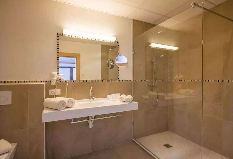 エコノミー４人部屋, Alpenhof Hotel Garni Suprême