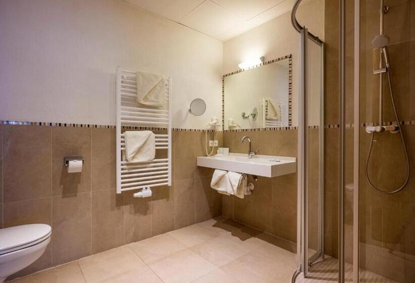 غرفة إقتصادية, Alpenhof Hotel Garni Suprême