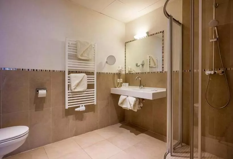 エコノミールーム, Alpenhof Hotel Garni Suprême