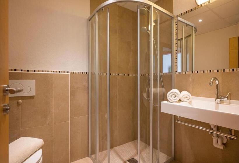 غرفة إقتصادية, Alpenhof Hotel Garni Suprême