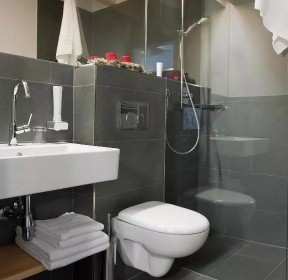 اتاق استاندارد با چشم‌انداز کوهستان, Alpinhotel Pacheiner