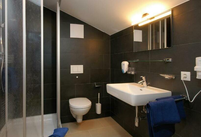 Апартаменты 1 Спальня, Alpengasthof Praxmar