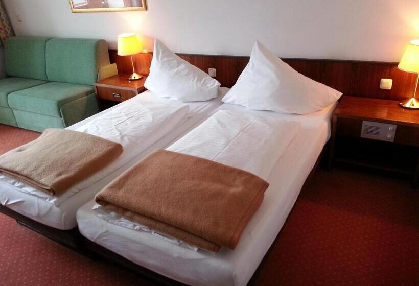 스탠다드 룸 호수 전망, Attersee