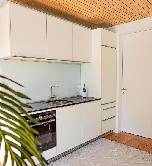 1 Bedroom Apartment Lake View, Attersee