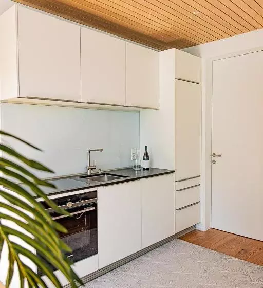 1 Bedroom Apartment Lake View, Attersee