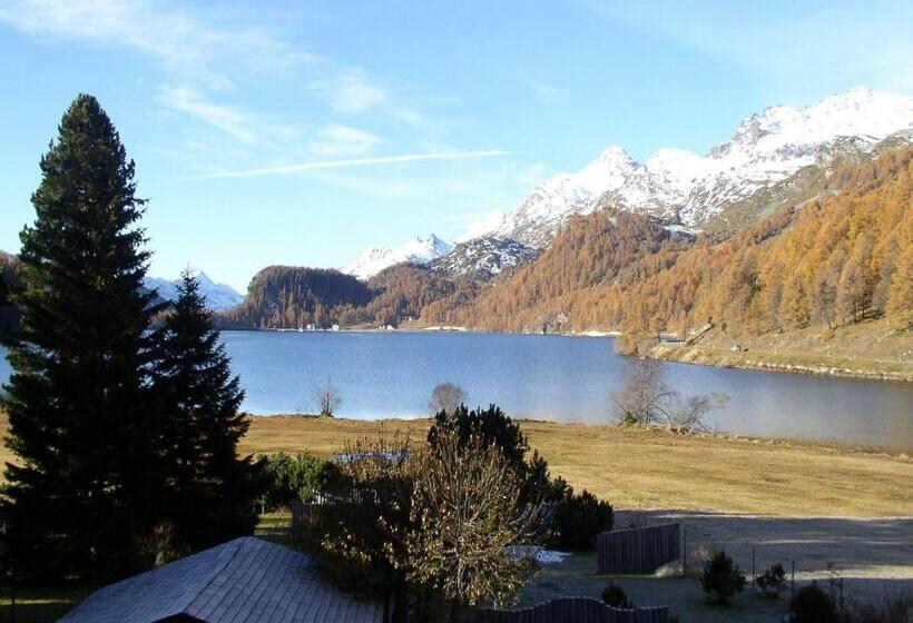 带阳台套房, Chesa Grischa