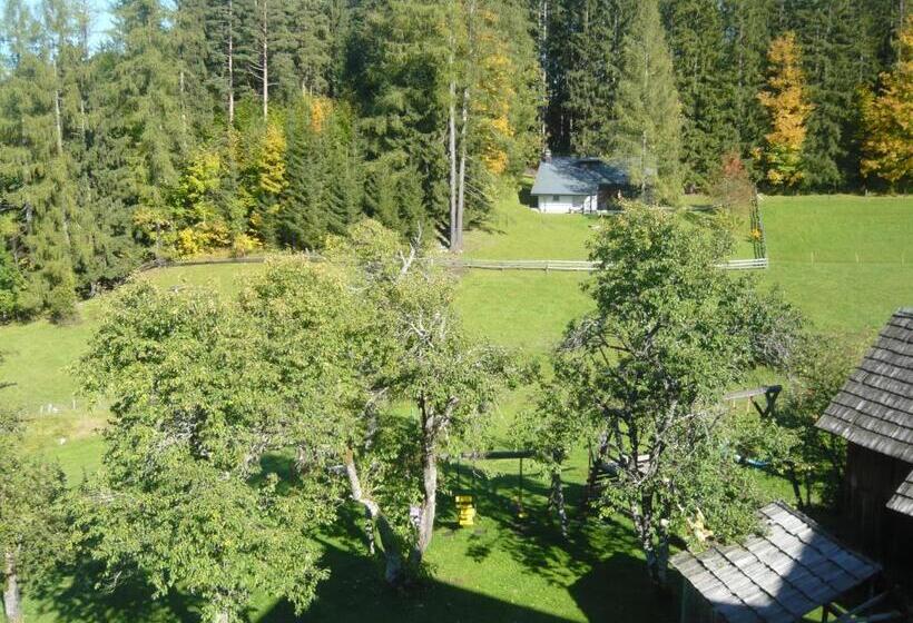 Апартаменты 1 Спальня, Ferienhof Grossgrub