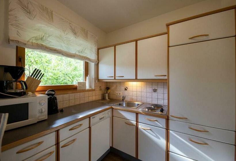 شقة غرفة واحدة, Kamenhof