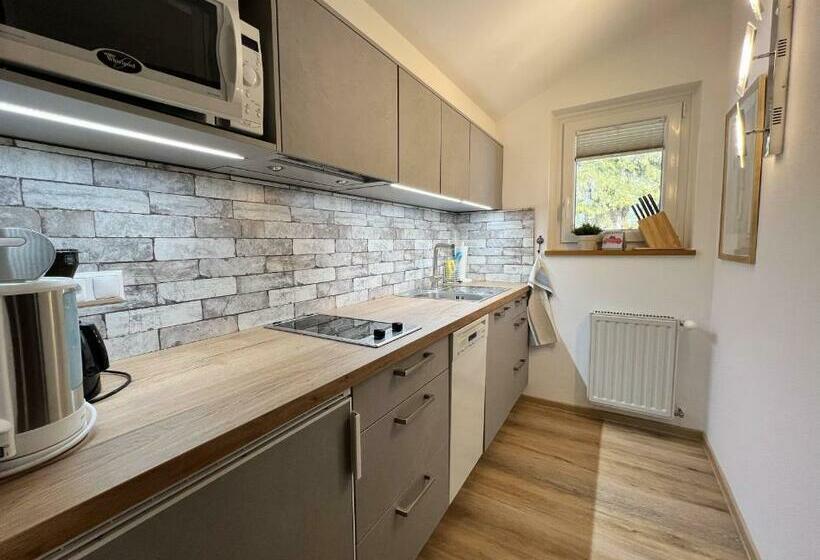 شقة غرفة واحدة, Kamenhof