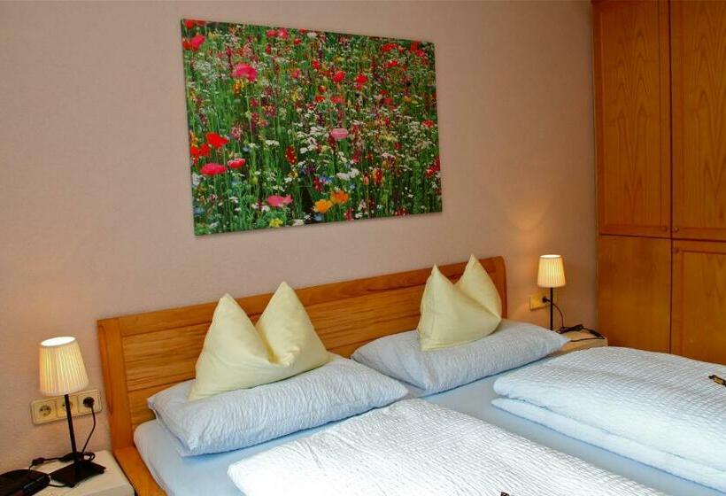 شقة غرفة واحدة, Kamenhof