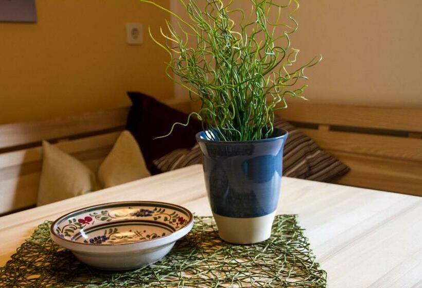 شقة غرفة واحدة, Kamenhof