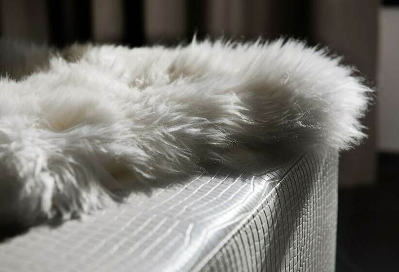 חדר סטנדרט, Morosani Fiftyone   The Room Only