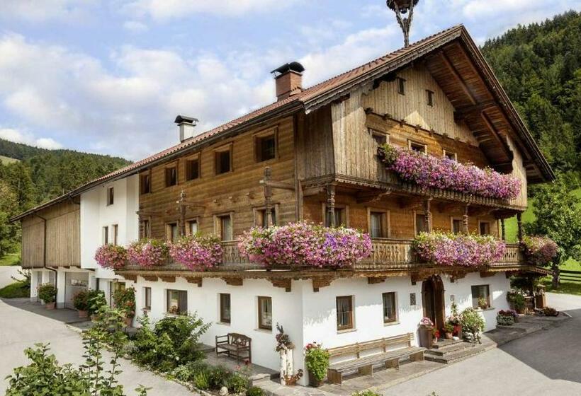 带1个卧室带观景的公寓, Oberhaslachhof