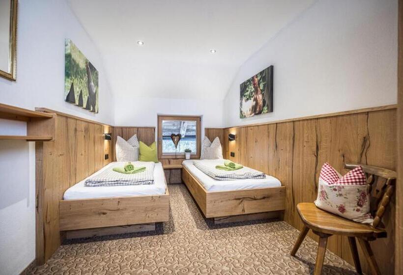 带1个卧室带观景的公寓, Oberhaslachhof