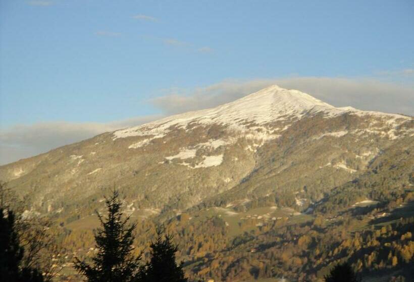 スタンダードシングルルーム, Pension Schwaiger