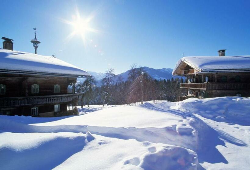 带2个卧室的公寓, Resort Tirol Am Wildenbach