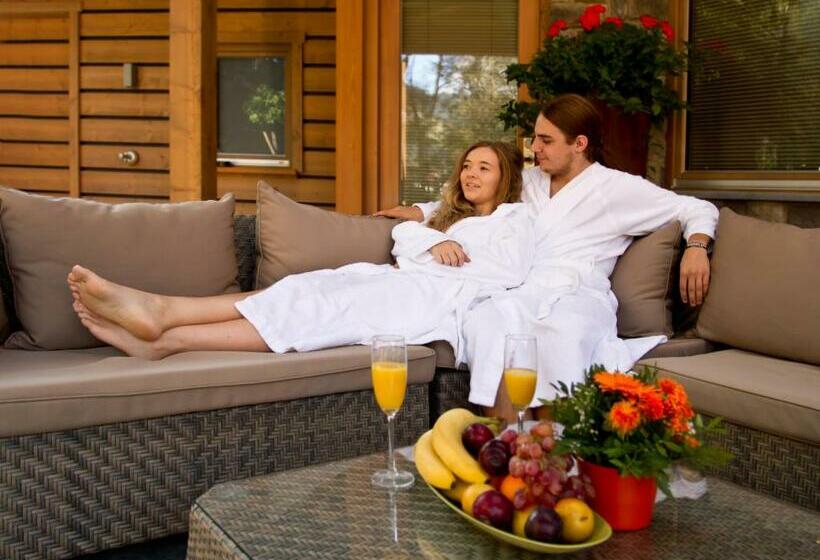 带2个卧室的公寓, Resort Tirol Am Wildenbach