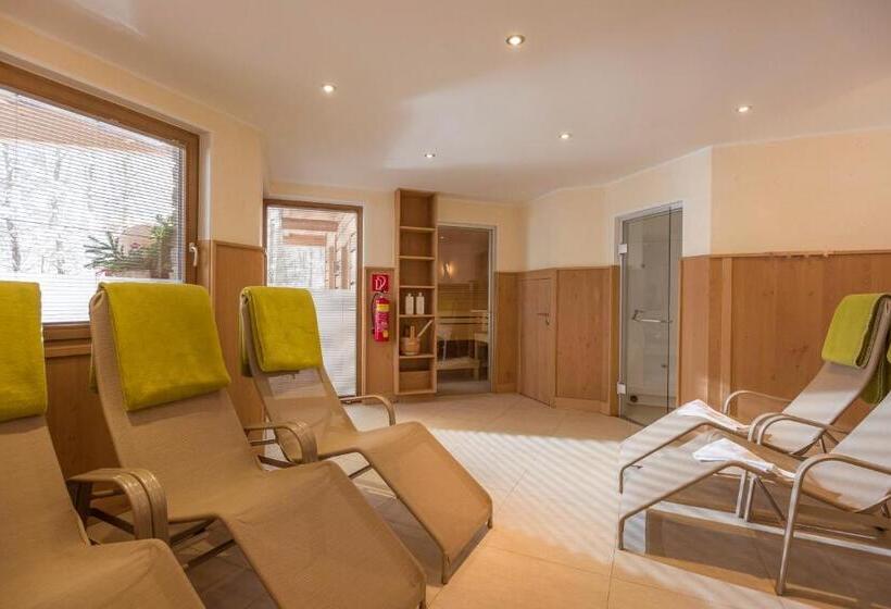 带2个卧室的公寓, Resort Tirol Am Wildenbach