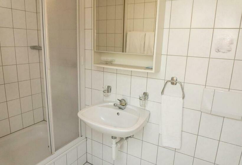 Номер Economy, Speiserestaurant Traube