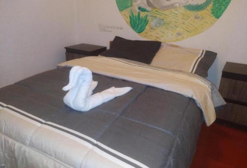 Standard Room, Hostal Casona San Pedro