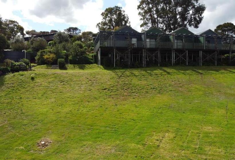 家庭工作室, Elysian Bridgetown